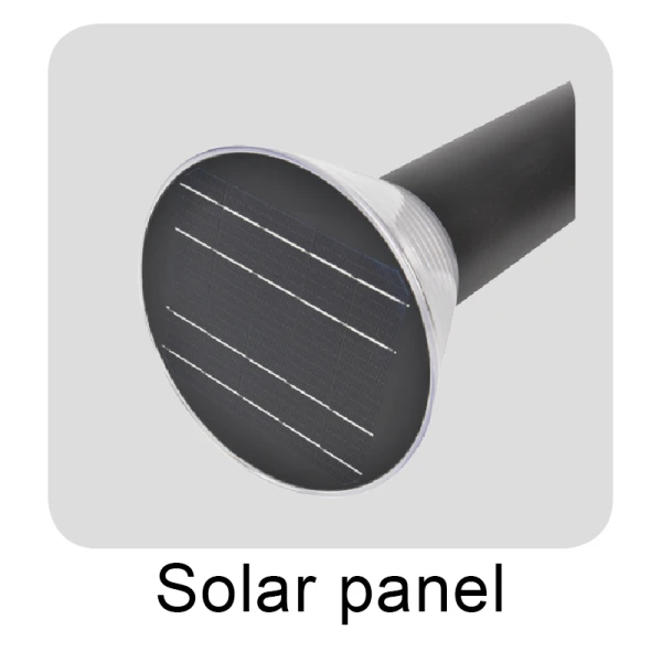 Best Solar Lights For Yard